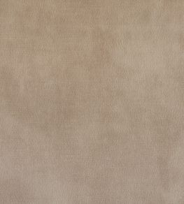 Lovely FR Fabric by Warwick Champagne Lovely FR Fabric by Warwick Champagne