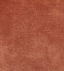 Lovely Fabric by Warwick Coral