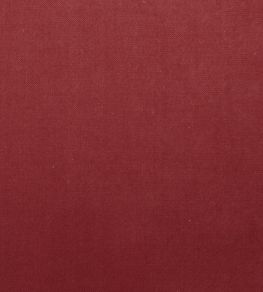 Mystere Fabric by Warwick BLUSH