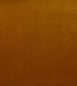 Mystere Fabric by Warwick GOLD Mystere Fabric by Warwick GOLD