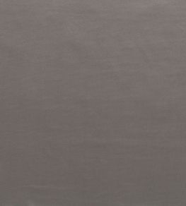 Mystere Fabric by Warwick SAGE