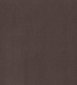 Plush Velvet FR Fabric by Warwick Asphalt Plush Velvet FR Fabric by Warwick Asphalt