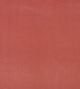 Plush Velvet Fabric by Warwick Brick Plush Velvet Fabric by Warwick Brick