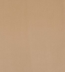 Plush Velvet Fabric by Warwick Cafe Plush Velvet Fabric by Warwick Cafe