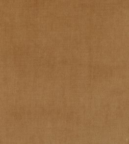 Plush Velvet Fabric by Warwick Caramel Plush Velvet Fabric by Warwick Caramel