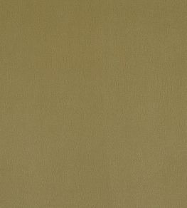 Plush Velvet FR Fabric by Warwick Celery Plush Velvet FR Fabric by Warwick Celery