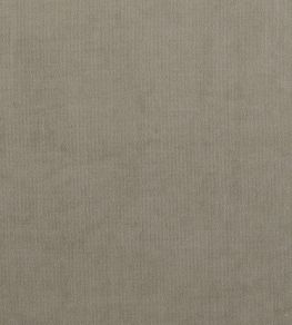 Plush Velvet Fabric by Warwick Concrete Plush Velvet Fabric by Warwick Concrete