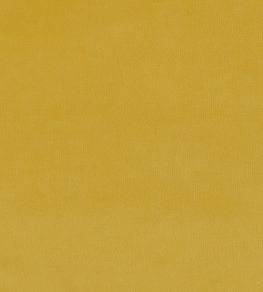 Plush Velvet Fabric by Warwick Daffodil Plush Velvet Fabric by Warwick Daffodil