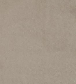 Plush Velvet FR Fabric by Warwick Fog Plush Velvet FR Fabric by Warwick Fog