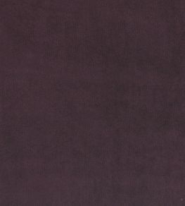 Plush Velvet Fabric by Warwick Grape Plush Velvet Fabric by Warwick Grape