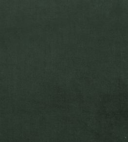 Plush Velvet FR Fabric by Warwick Hunter