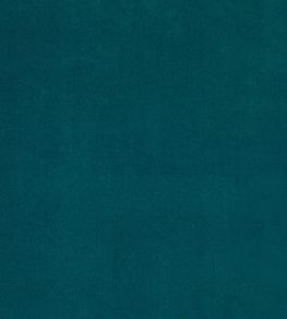 Plush Velvet FR Fabric by Warwick Mallard