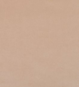 Plush Velvet FR Fabric by Warwick Petal
