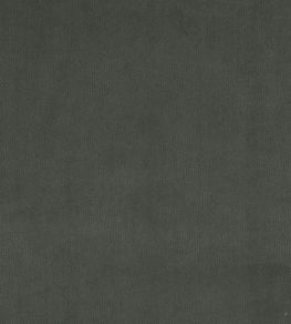 Plush Velvet Fabric by Warwick Shadow Plush Velvet Fabric by Warwick Shadow