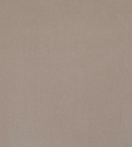 Plush Velvet Fabric by Warwick Taupe