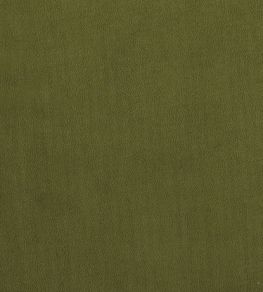 Plush Velvet Fabric by Warwick Vine Plush Velvet Fabric by Warwick Vine
