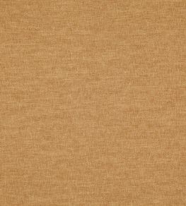 Splash Fabric by Warwick PUMPKIN