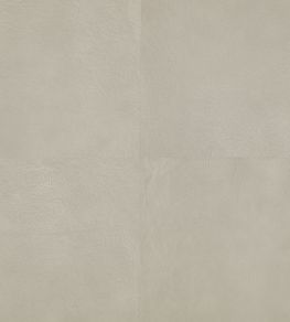 Washi Wallpaper by Mark Alexander Moonrock