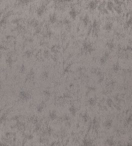 Stelvio Fabric by Wemyss Sterling