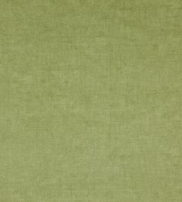 Fiora Fabric by Wemyss Grass Fiora Fabric by Wemyss Grass