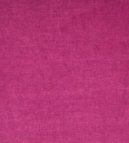 Fiora Fabric by Wemyss Candy Fiora Fabric by Wemyss Candy