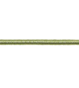 Westport Gimp Trimming by Samuel & Sons Spring Green