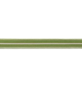 Westport Striped Border Trimming by Samuel & Sons Spring Green