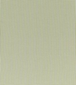 Windsor Fabric by Clarke & Clarke Sage