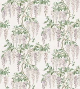Wisteria Walk Fabric by Nina Campbell Lilac/Green Wisteria Walk Fabric by Nina Campbell Lilac/Green