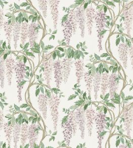 Wisteria Walk Wallpaper by Nina Campbell Lilac/Green Wisteria Walk Wallpaper by Nina Campbell Lilac/Green