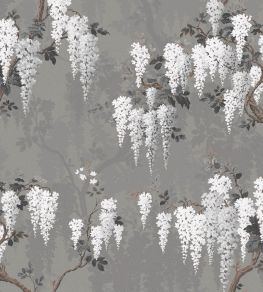 Wisteria Wallpaper by Woodchip & Magnolia Latte/Slate Grey