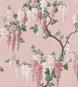 Wisteria Wallpaper by Woodchip & Magnolia Pink Bloom Wisteria Wallpaper by Woodchip & Magnolia Pink Bloom