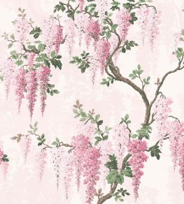Wisteria Wallpaper by Woodchip & Magnolia Pretty Pink Wisteria Wallpaper by Woodchip & Magnolia Pretty Pink