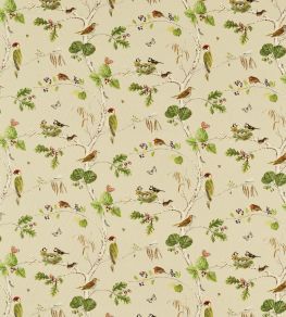 Woodland Chorus Fabric by Sanderson Birch/Multi Woodland Chorus Fabric by Sanderson Birch/Multi