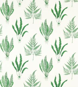 Woodland Ferns Fabric by Sanderson Botanical Green