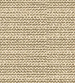 Yuca Wallpaper by Coordonne Arena