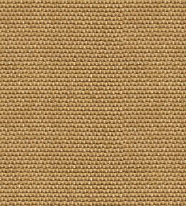 Yuca Wallpaper by Coordonne Gold
