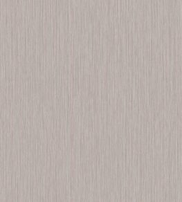 Yucca Plain Wallpaper by Jannelli&Volpi Grey Yucca Plain Wallpaper by Jannelli&Volpi Grey