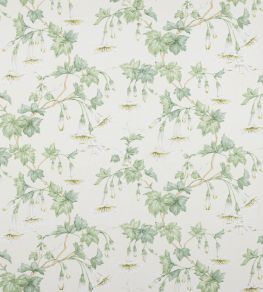 Yvette Fabric by Colefax and Fowler Cream/Leaf Yvette Fabric by Colefax and Fowler Cream/Leaf