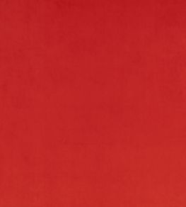 Z Suede Fabric by Zinc Dragon