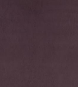 Z Suede Fabric by Zinc Eggplant