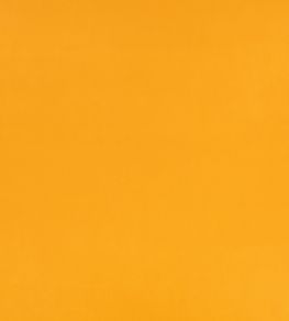 Z Suede Fabric by Zinc Ochre