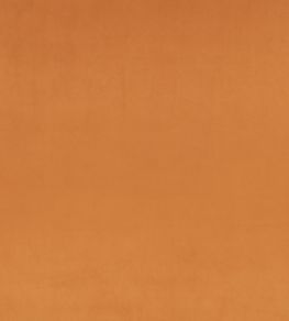 Z Suede Fabric by Zinc Tan