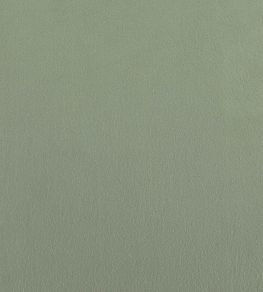 Zephyr Plain Fabric by Zoffany Green Stone