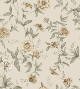 Zinnia Wallpaper by Borastapeter Desert Zinnia Wallpaper by Borastapeter Desert