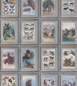 Zoology Wallpaper by Andrew Martin Multi Zoology Wallpaper by Andrew Martin Multi