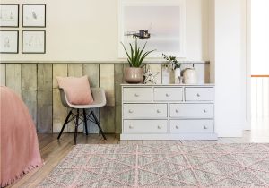 Rugs care guide