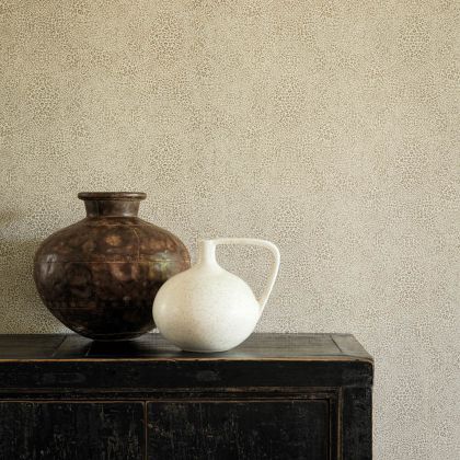 Paramo Vinyls wallpaper