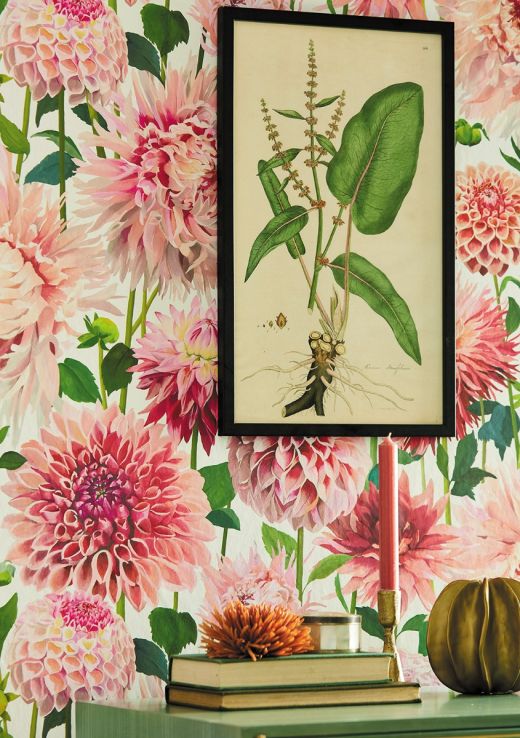 Dahlia floral wallpaper by Harlequin